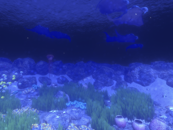 Coral Reef HD screenshot 2
