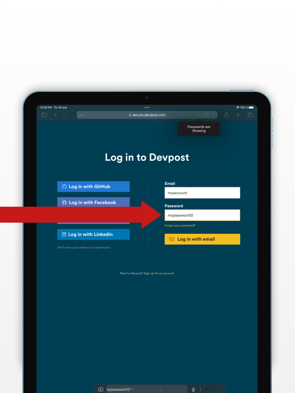 Screenshot #5 pour Visible Passwords for Safari