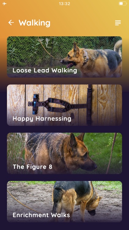 Doghouse - The home for dogs screenshot-4