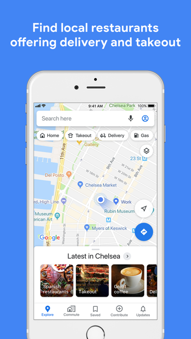Google Maps Screenshot on iOS