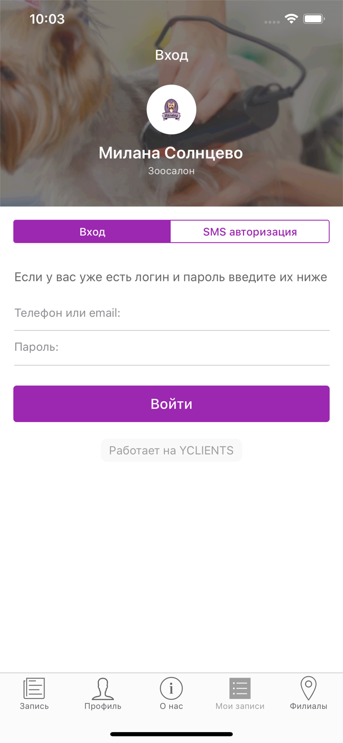 Милана стрижка собак и кошек