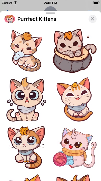 Purrfect Kittens