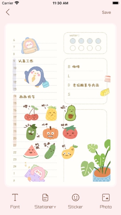 Diary Berry- Cute journal