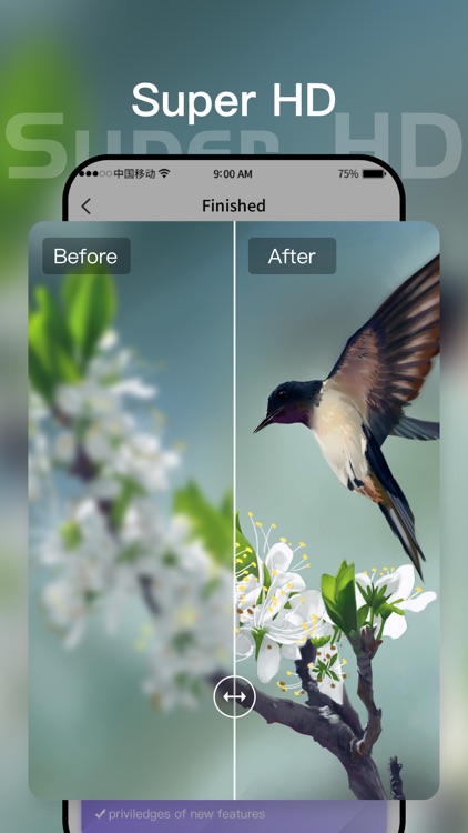 Remu-AI Photo Enhancer screenshot-3