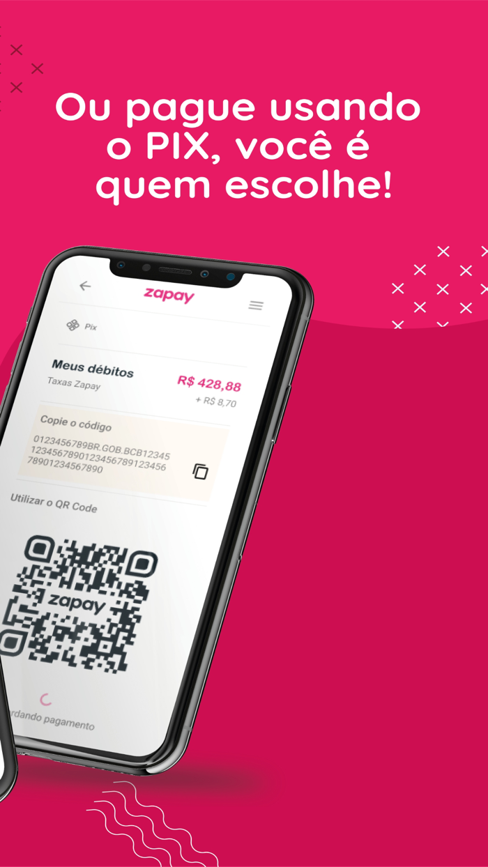 Zapay Débitos, IPVA, Multas