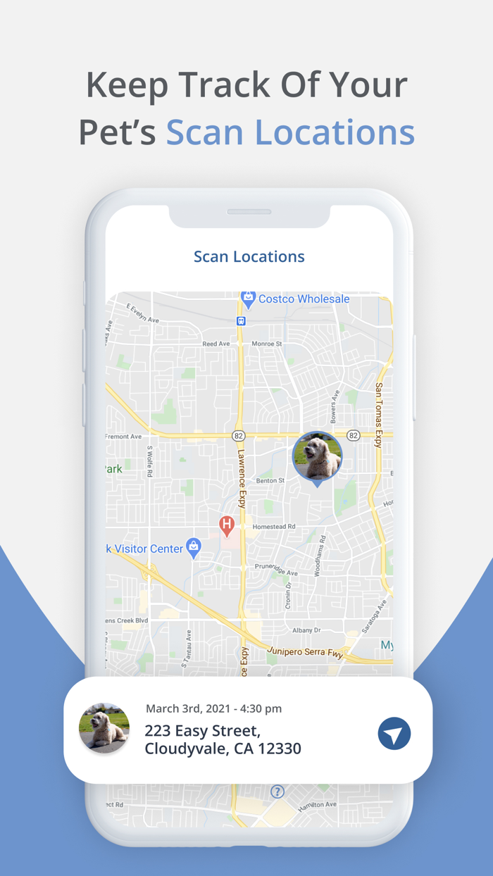 Otto – For Pet Parents