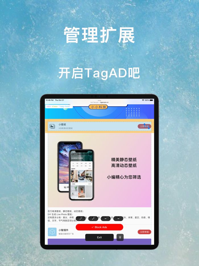 TagAD - 浏览器的好帮手