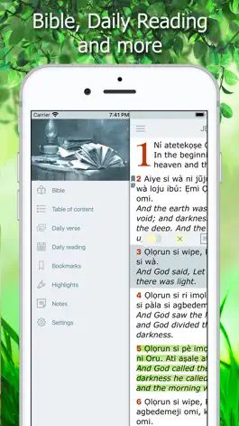 Game screenshot Yoruba Bible Holy Version KJV apk
