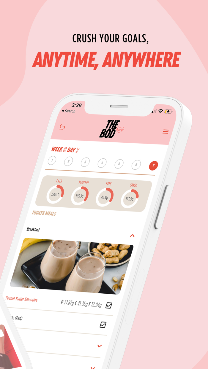 THE BOD By Sophie Guidolin