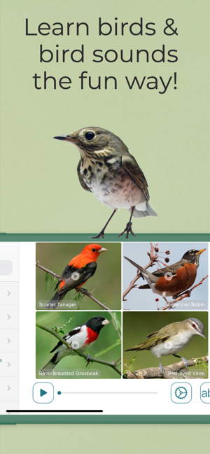 ‎Larkwire—Learn Bird ID Capture d'écran