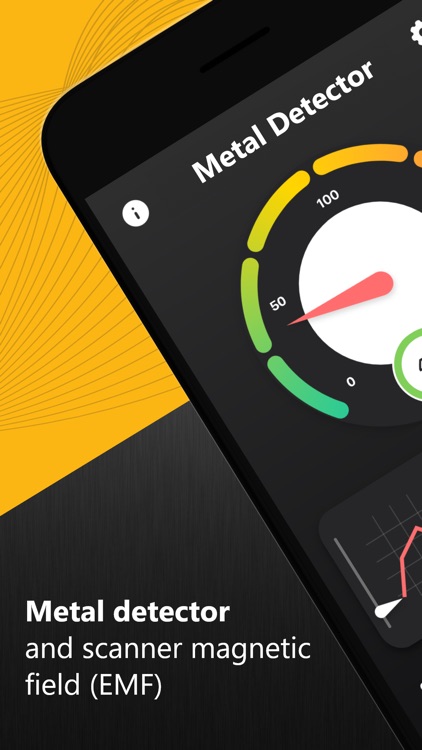 Metal Detector & EMF Meter