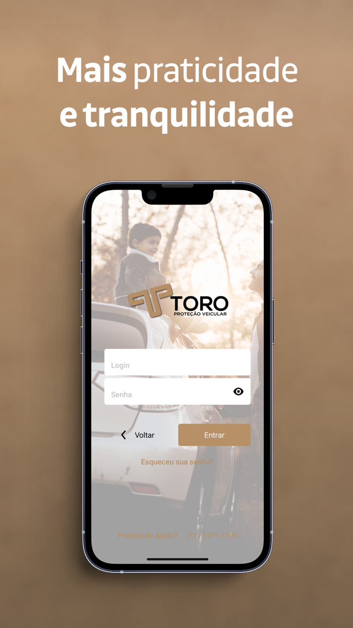 Toro Proteção Veicular