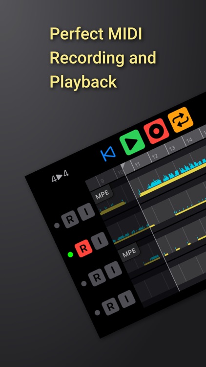 MIDI Tape Recorder screenshot-0