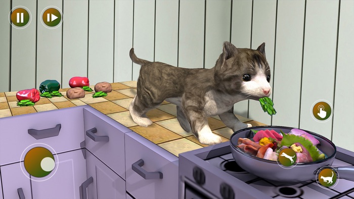 Farm Cat Simulator Cute Kitten