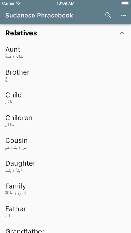 Sudanese Phrasebook screenshot-3