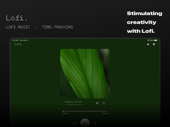 Lofi. - lofi  time-tracking