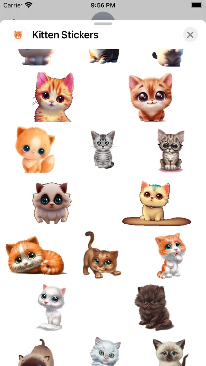 Kitten Stickers