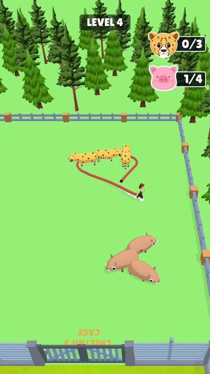 Sort The Animals screenshot-5