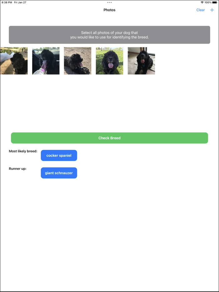 Dog Breed Identifier App