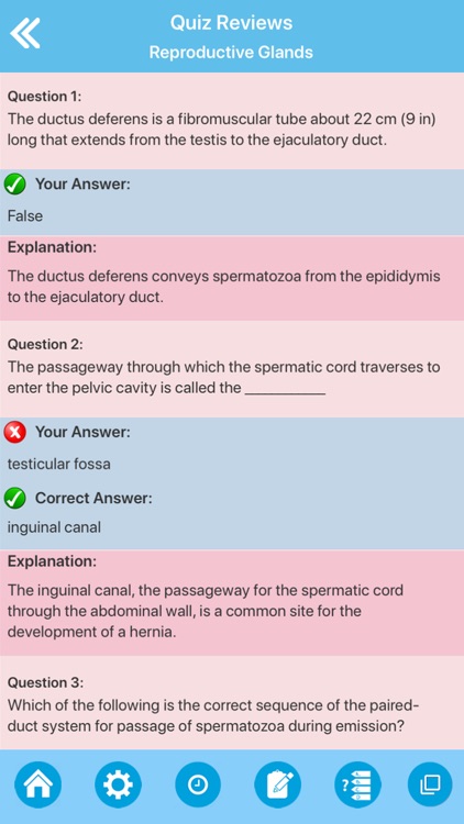 Male Reproductive System screenshot-7