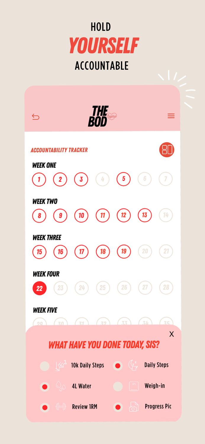 THE BOD By Sophie Guidolin