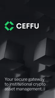 ceffu: institutional custody problems & solutions and troubleshooting guide - 4