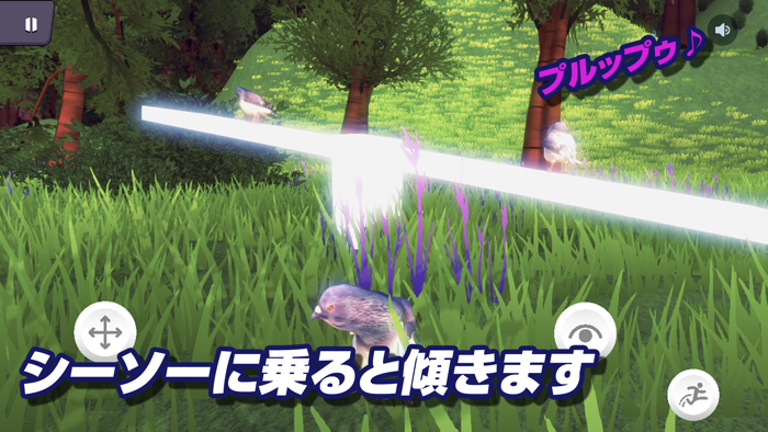 ハトバース｜鳩のメタバース