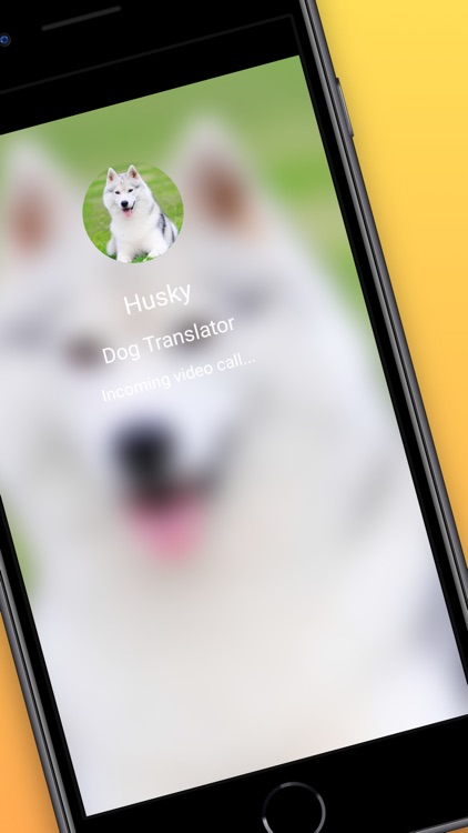 Dog Translator Prank Simulator