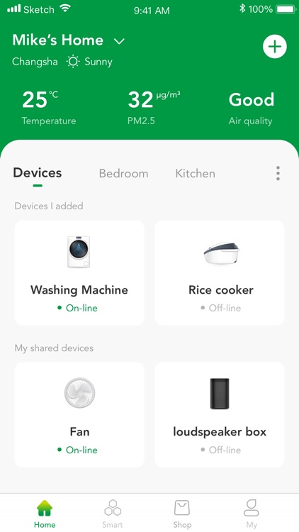 Ace smarthome