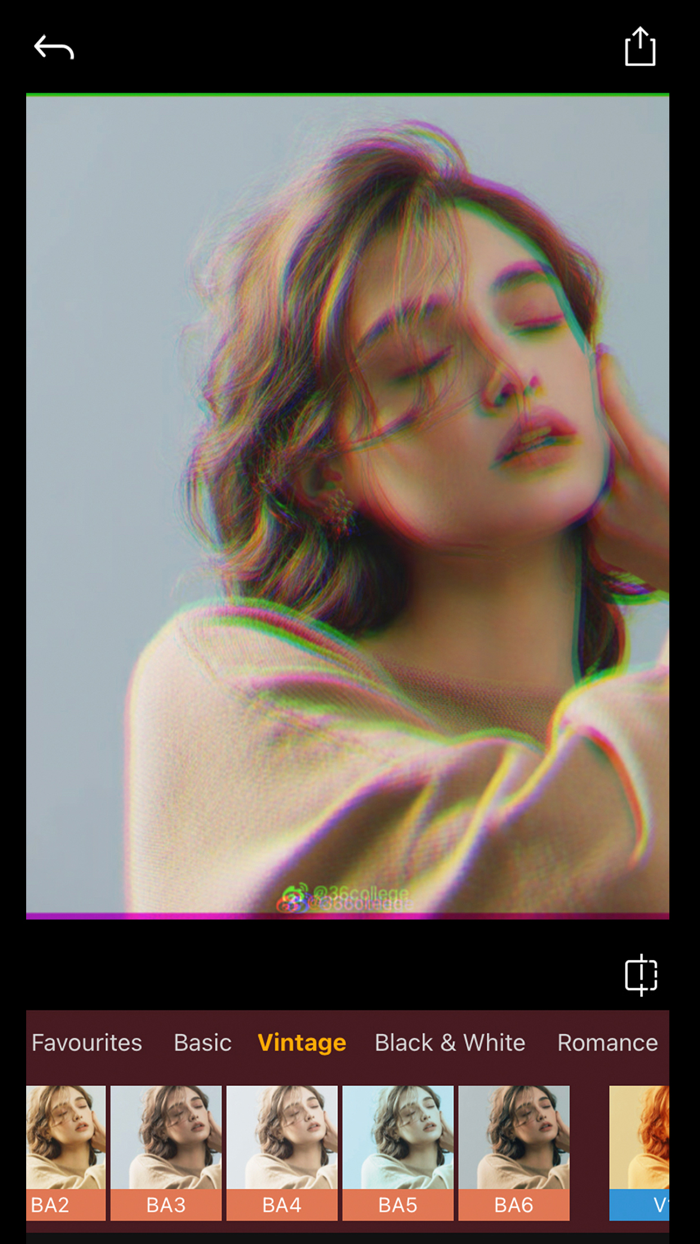 Aesthetic Photo - Collage