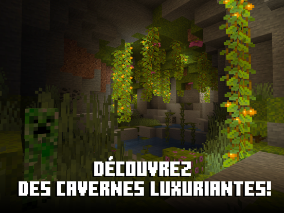 Minecraft Minecraft