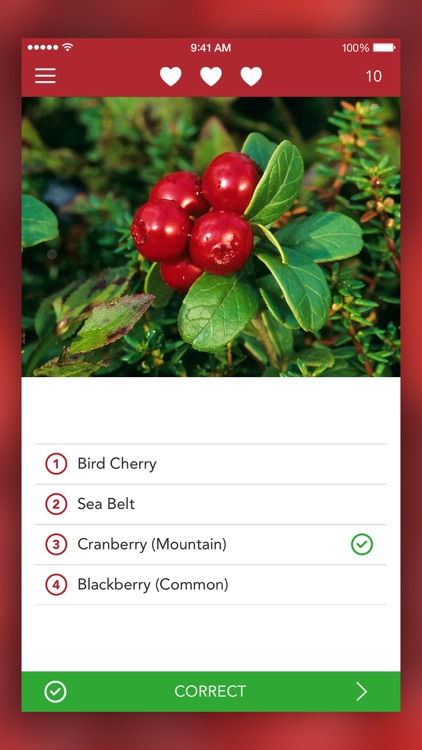 Wild Berries and Herbs 2 PRO screenshot-4