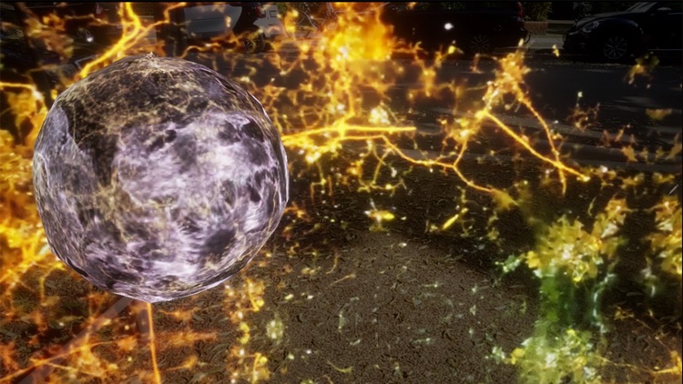 ASN: Joanna Hoffmann