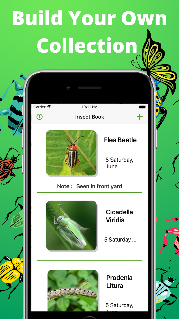 Bug identifier - Insect,Spider