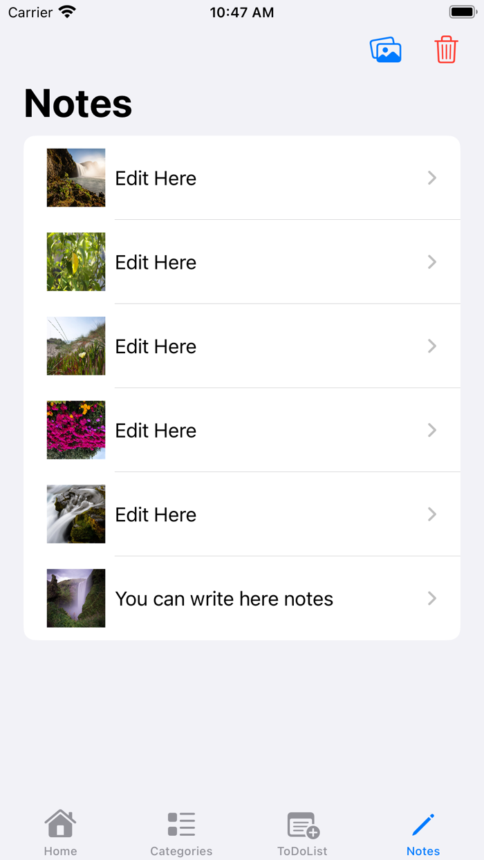 Healthy Weight loss Diet