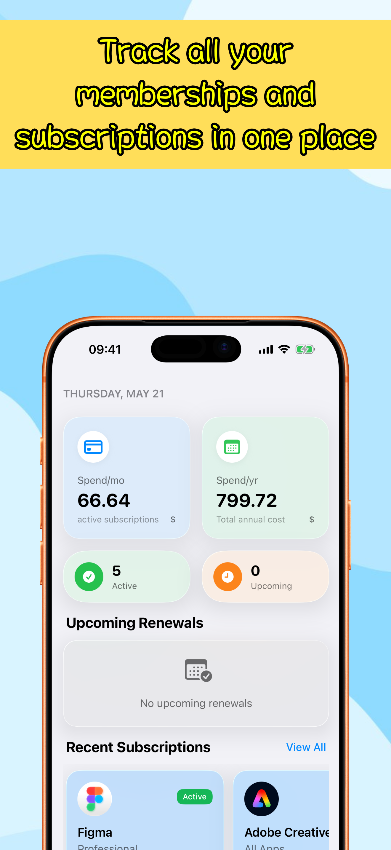PocketSubs iPhone screenshot showing Customizable icons, payment methods, and payment categories