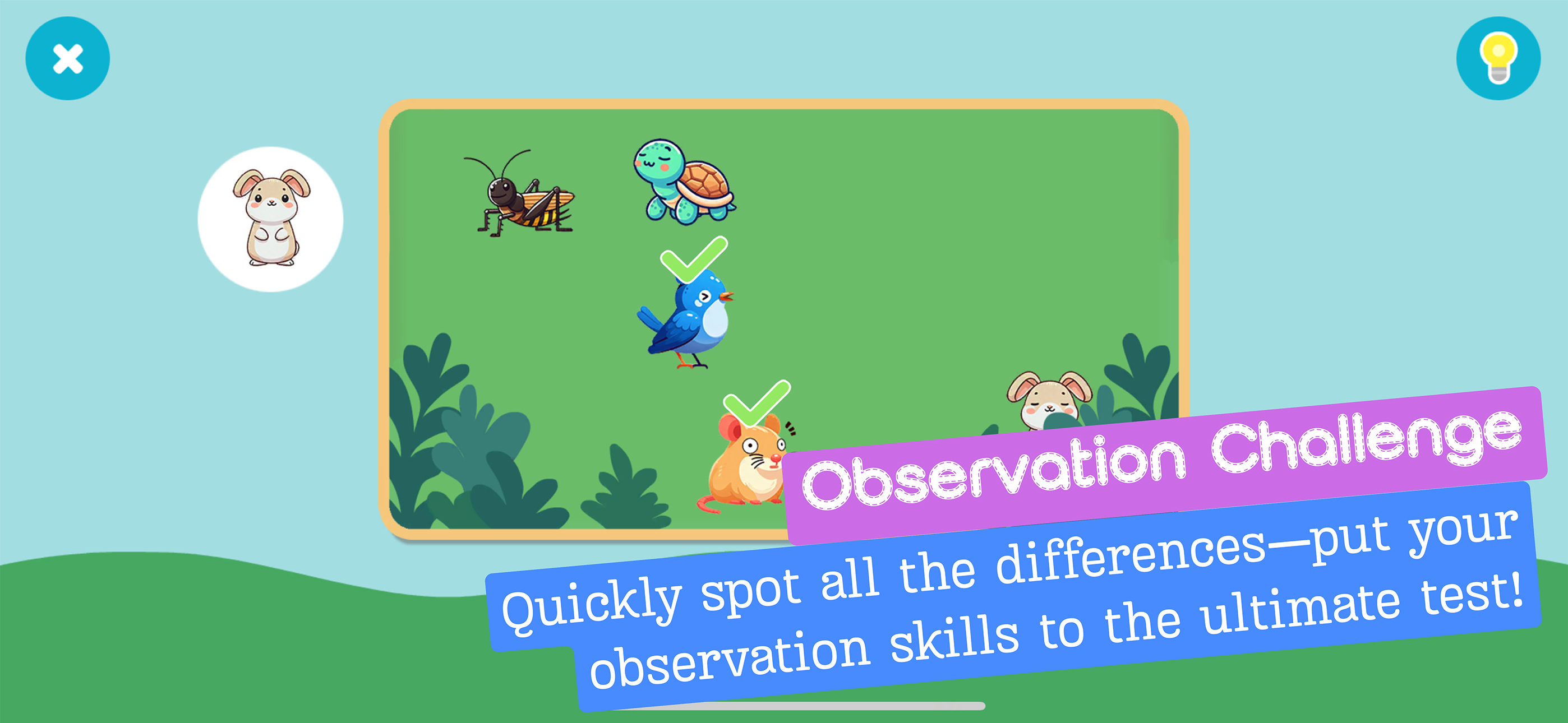 Observation Challenge Game