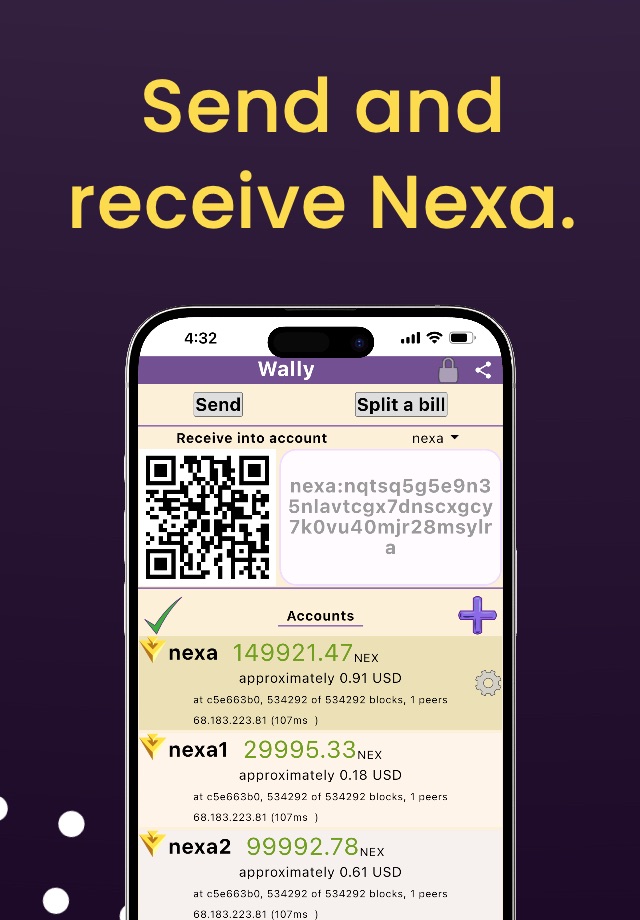 Wally Nexa Wallet screenshot 3