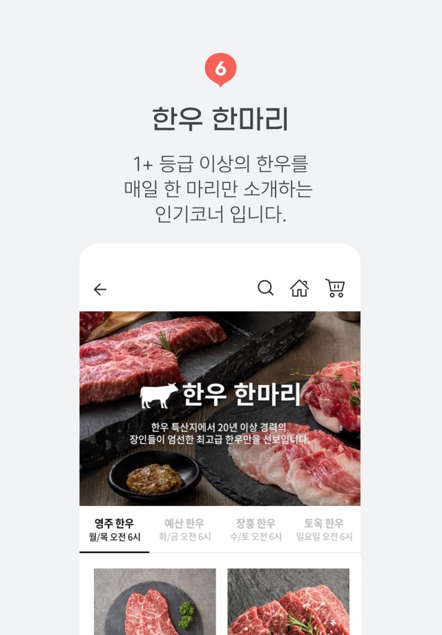 꽃피는 아침마을 screenshot 3