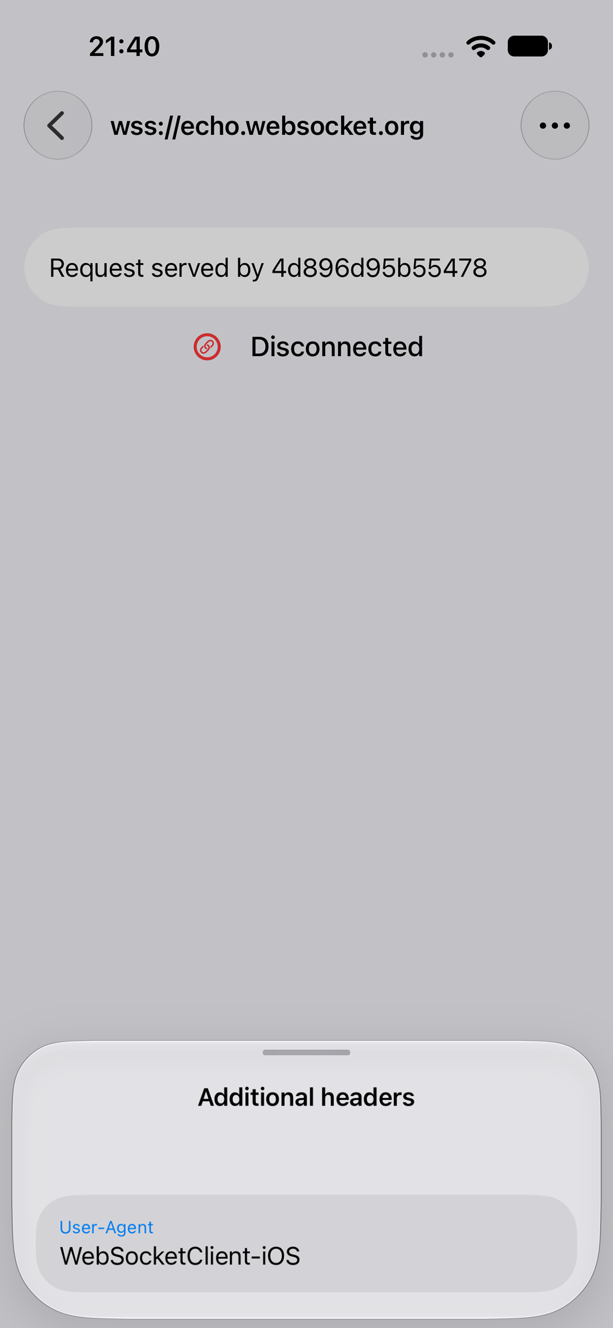 WebSocketClient iPhone screenshot 4