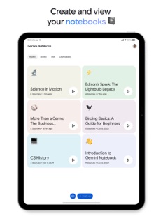 Screenshot 8 Gemini Notebook