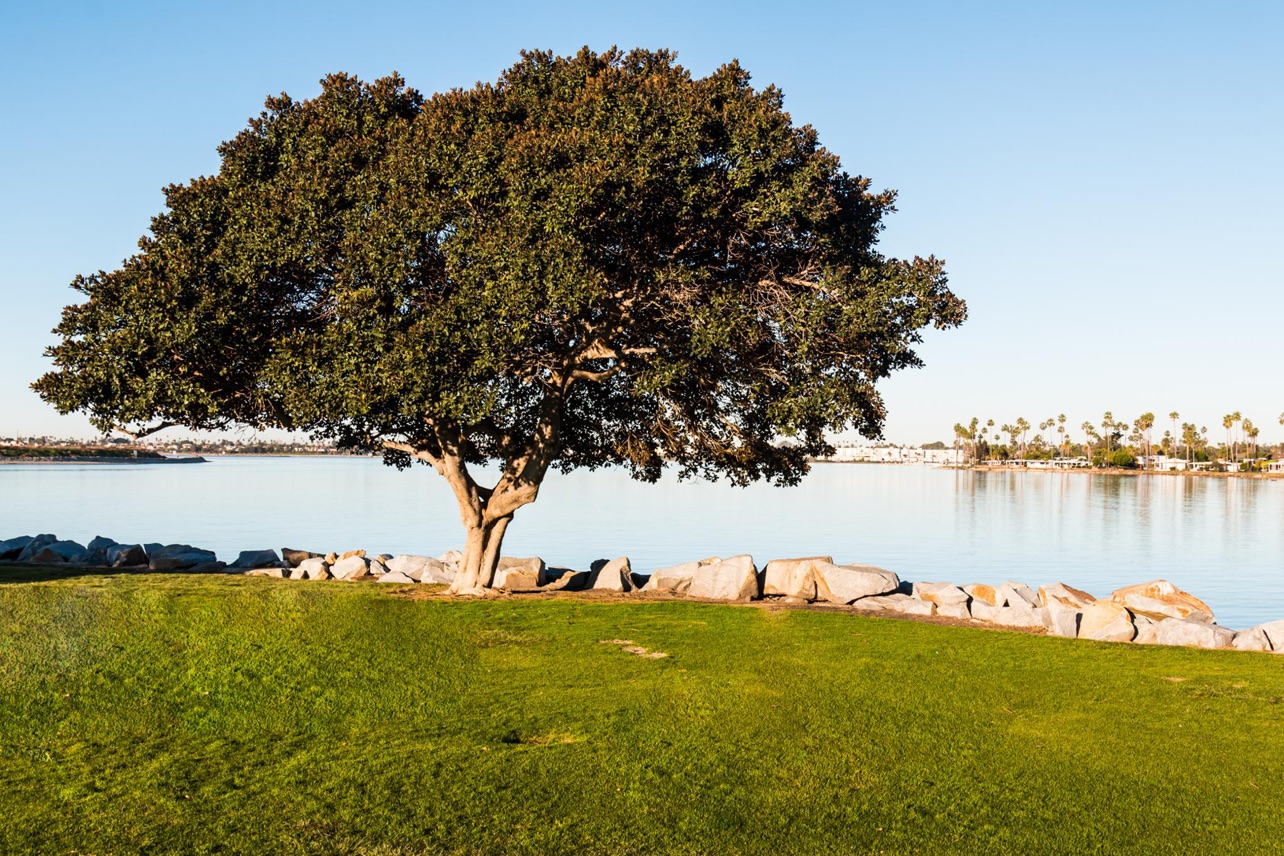 De Anza Cove Park