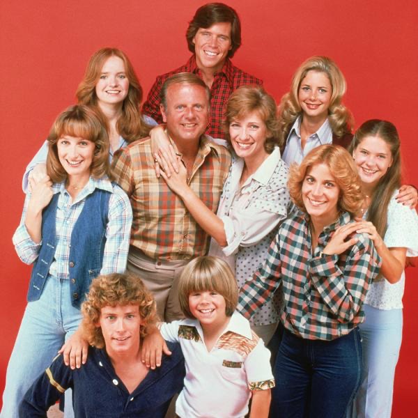 Eight Is Enough Episodes On Netflix