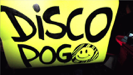 Disco Pogo - Die Atzen
