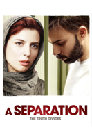 Asghar Farhadi - A Separation artwork