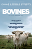 Bovines ou la vraie vie des vaches - Emmanuel Gras
