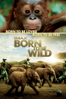 IMAX: Nascidos Para Ser Libres (Born to Be Wild) - David Lickley