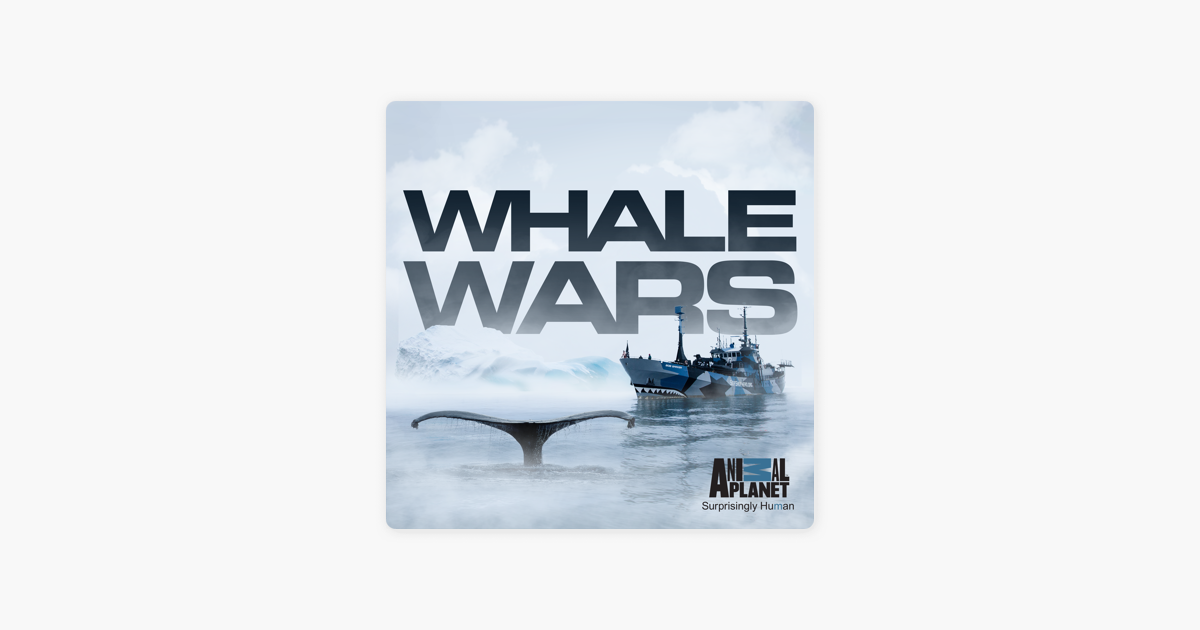 ‎Whale Wars, Season 6 on iTunes