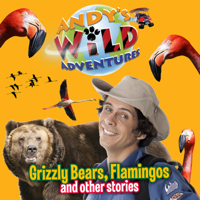Andy's Wild Adventures - Andy's Wild Adventures, Grizzly Bears, Flamingos and Other Stories artwork
