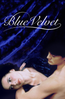 David Lynch - Blue Velvet artwork